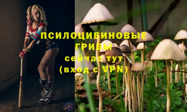 первитин Корсаков
